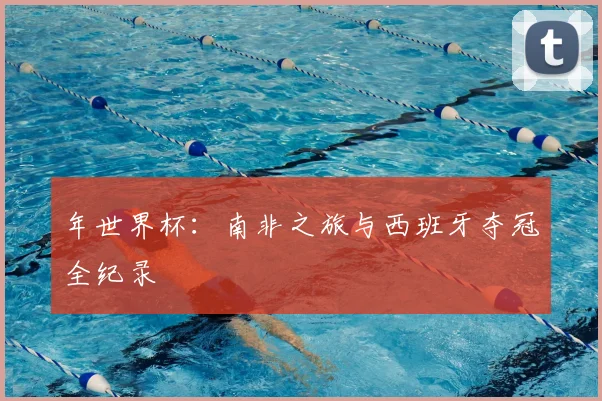 年世界杯:南非之旅与西班牙夺冠全纪录