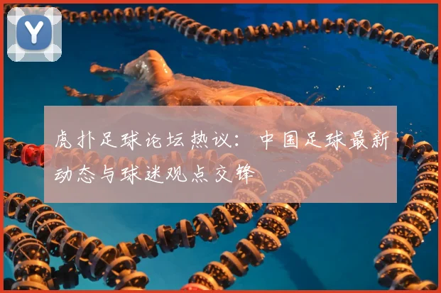 虎扑足球论坛热议：中国足球最新动态与球迷观点交锋