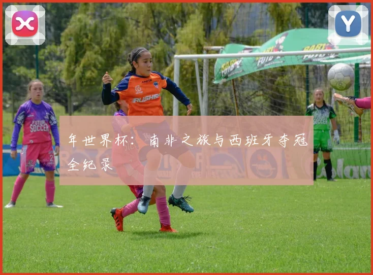 年世界杯:南非之旅与西班牙夺冠全纪录